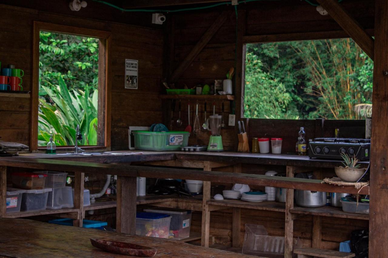 The Pelican House Hostel El Valle  Екстериор снимка